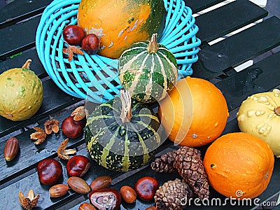 Autumn seasonal vegetables Stock Photo