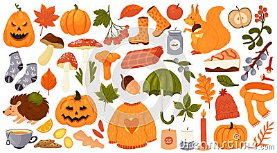 Autumn set with acorn and edible mushrooms, Halloween pumpkin, orange leaf of maple Vector Illustration