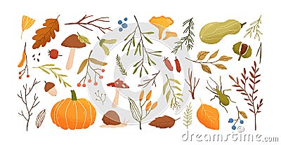 Autumn set. Collection of hand drawn fallen leaves, vegetables, berries, acorns, forest mushrooms, tree branches Vector Illustration