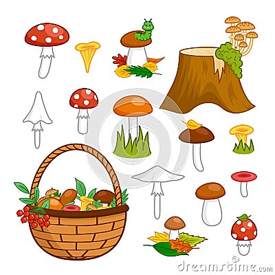 Autumn set of mushrooms, basket, stump, fallen leaves, moss. Edible tasty and toxic. Cartoon vector Vector Illustration