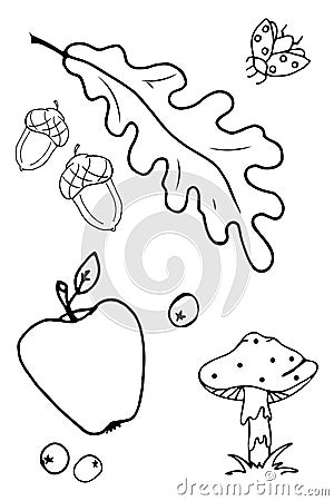 Autumn set of outline hand drawing images in form of Coloring pages Vector Illustration