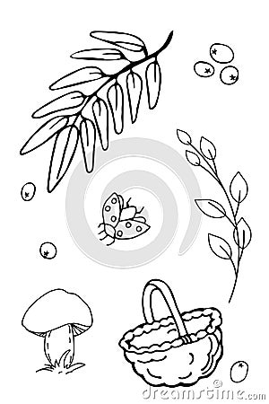 Autumn set of outline hand drawing images in form of Coloring pages Vector Illustration