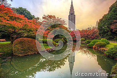 Autumn in the Shinjuku Park, Tokyo Stock Photo