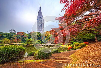 Autumn in the Shinjuku Park, Tokyo Stock Photo
