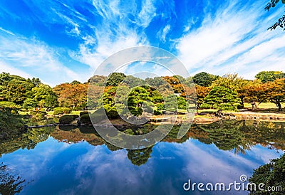 Autumn in the Shinjuku park, Tokyo, Japan. Copy space for text. Stock Photo