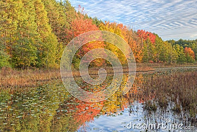 Autumn Shoreline Stock Photo