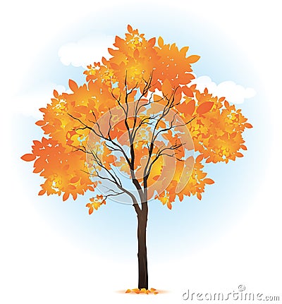 Autumn single tree Vector Illustration