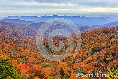 Autumn Scene in the Great Smoky Mountains Stock Photo