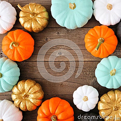 Autumn square frame of various colorful pumpkins on rustic wood Stock Photo