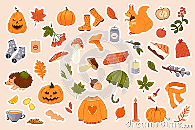 Autumn stickers pack set with acorn and edible mushrooms, Halloween pumpkin, orange leaf of maple Cartoon Illustration