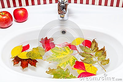 Autumn still life in bathroom. Wash leaves, apples Stock Photo