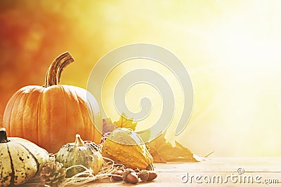 Autumn still life in bright sunlight Stock Photo