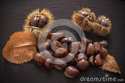 Autumn still life of chestnuts and urchins Stock Photo