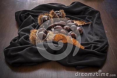 Autumn still life of chestnuts and urchins Stock Photo