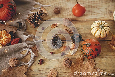 Autumn still life. Cute pumpkins, autumn leaves, cones, walnuts, cozy scarf on rustic wooden table in farmhouse. Fall in rural Stock Photo