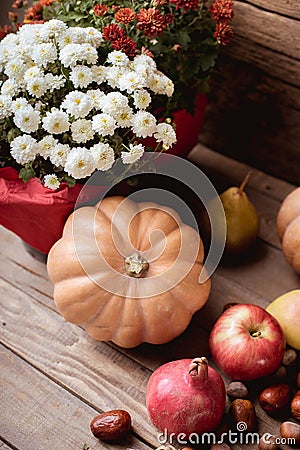 Autumn still life of fruit Stock Photo