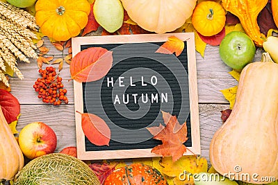 Autumn still life image with rye, pumpkins, apples, ashberry, melon, colorful foliage and letter board with words Hello Autumn Stock Photo