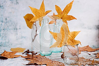 Autumn still life with little glass bottles and yellow leaves. Fall theme photography. Nature Stock Photo