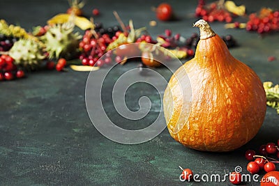 Autumn still life with pumpkin and randomly scattered berries on Stock Photo