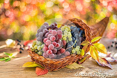 Autumn still life with ripe different grape varieties Stock Photo