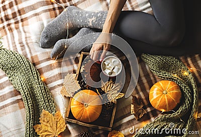 Autumn still life from tray full of pumpkin, leaves, cones, scarf, mug of cocoa, coffee or hot chocolate with Stock Photo