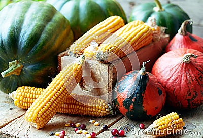 Autumn still life from variety of pumpkins, corn, grain and cranberry berries Stock Photo