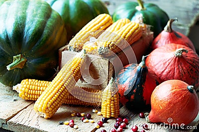 Autumn still life from variety of pumpkins, corn, grain and cranberry berries Stock Photo