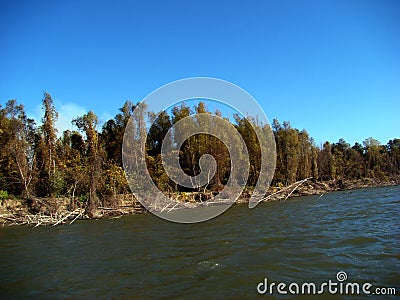 Autumn stories on the Danube River 5 Stock Photo