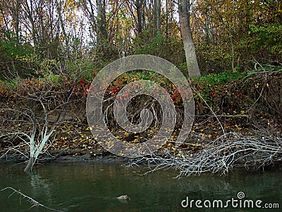 Autumn stories on the Danube River at km 358 1 Stock Photo