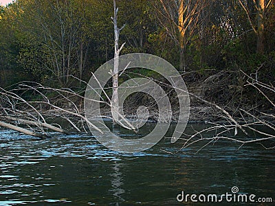 Autumn stories on the Danube River at km 358 2 Stock Photo