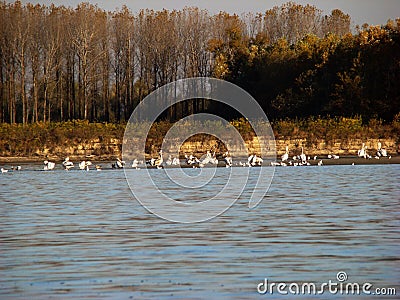 Autumn stories on the Danube River at km 360 1 Stock Photo