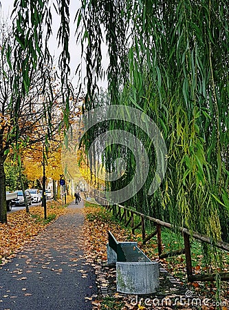 Autumn street Editorial Stock Photo