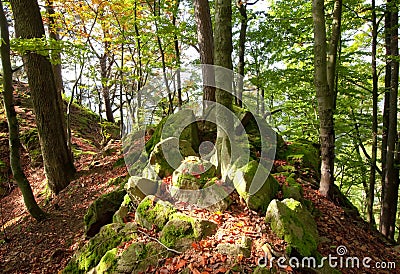 Autumn sunny day in mountain Carpathian forest Stock Photo