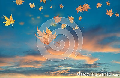 Autumn winter background leaves wind weather Stock Photo