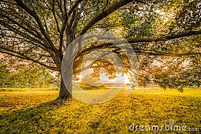 Autumn sunset in Parsippany, New Jersey Stock Photo