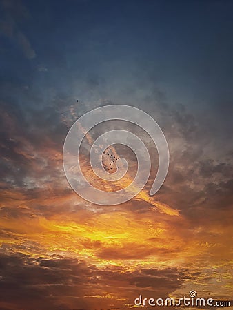 Autumn sunset sky. Vertical background, different colored and shaped clouds and flocks of migratory birds flying. October Stock Photo