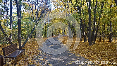 Autumn in Suvorov Park of the city of Moscow Stock Photo