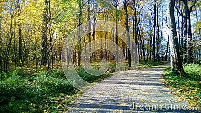 Autumn in Suvorov Park Stock Photo