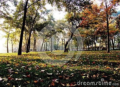 Autumn Suzhou Stock Photo