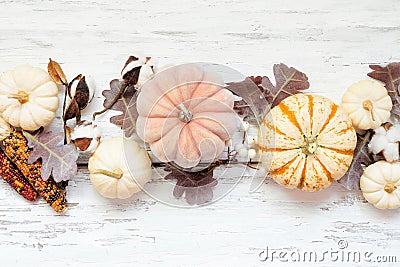 Autumn table scene of pumpkins, corn and frosty red leaves over rustic white wood Stock Photo
