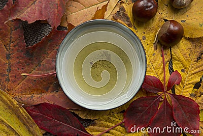 Autumn tea time still life top view closup Stock Photo