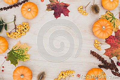 Autumn thanksgiving background. Leaves, pumpkins on wooden background. Stock Photo