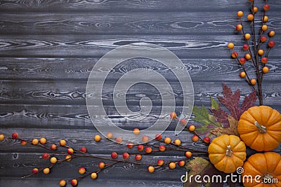 Autumn Thanksgiving Background Stock Photo