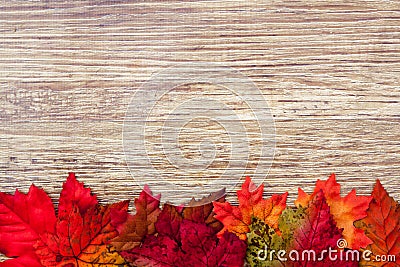 Autumn Thanksgiving Background