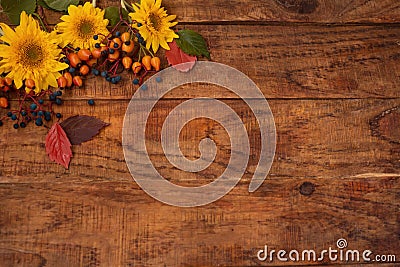 Autumn theme. Wooden background with sunflower flowers, berries and leaves in the corner Stock Photo