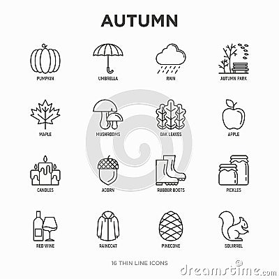 Autumn thin line icons set: maple, mushrooms, oak leaves, apple, pumpkin, umbrella, rain, candles, acorn, rubber boots, raincoat, Vector Illustration