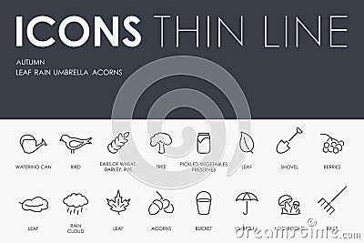 Autumn Thin Line Icons Vector Illustration