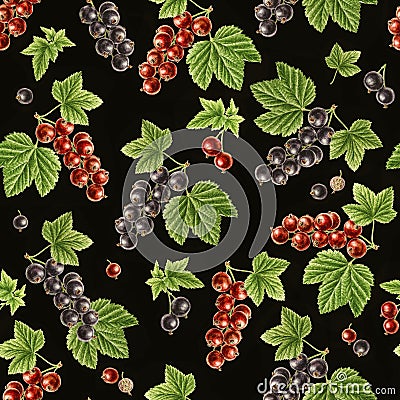 Autumn time garden blackcurrant, redcurrant watercolor seamless pattern on black background Stock Photo