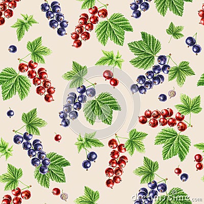 Autumn time garden blackcurrant, redcurrant watercolor seamless pattern on white background Stock Photo