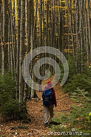 Autumn trail Stock Photo